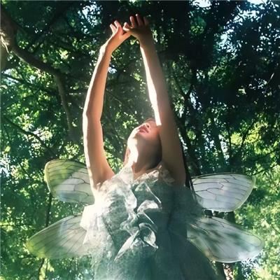 詹姆士的厨房·旅行季